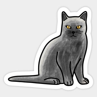 Gray British Shorthair Cat Sticker